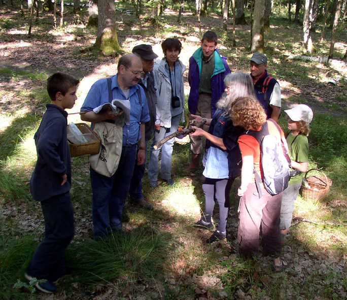 2009 07 Myco Gros taillis 18